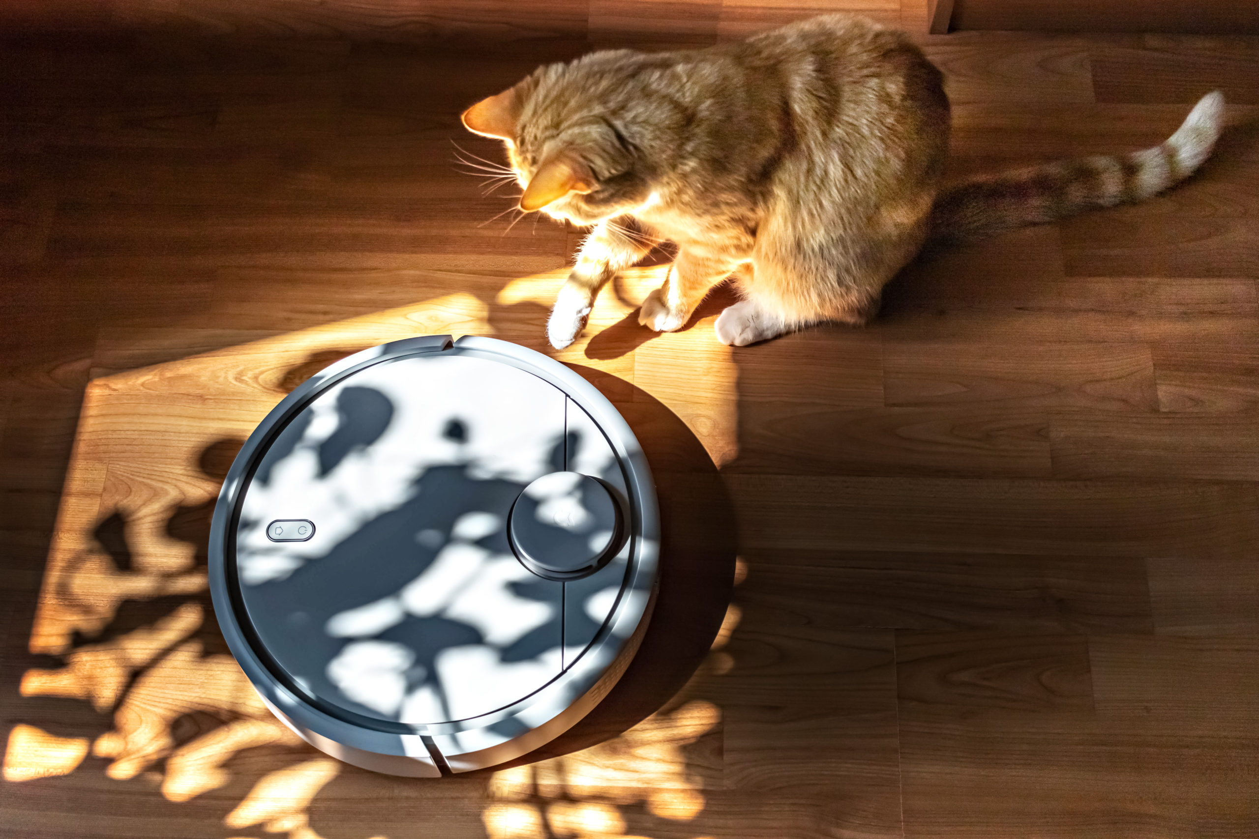 What the Roomba Teaches Us About Pushing Through Fear of Failure